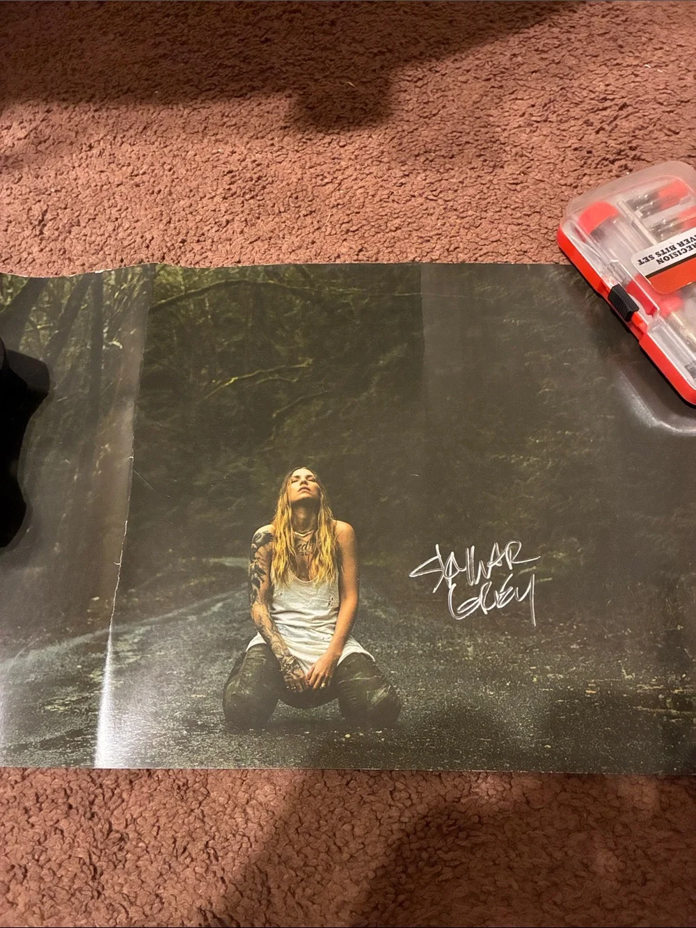 Skylar Grey autographed poster signed